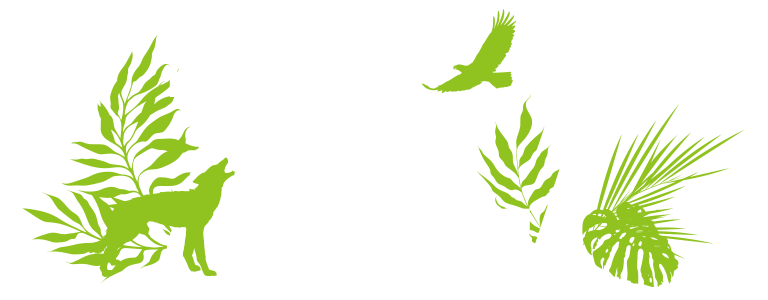 Zoo-Z